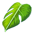 An Adopt Me Monstera Leaf Cape