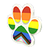 An Adopt Me Pride Paw Flying Disc
