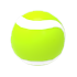 An Adopt Me Tennis Ball