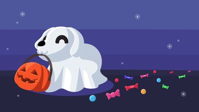 Halloween pets in adopt ne 2023｜TikTok Search