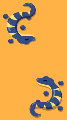 Salamander-Vertical_1440x2560.png