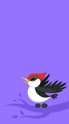 Woodpecker-Vertical_1440x2560.png